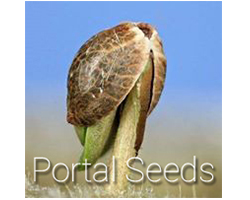 Portal Seeds