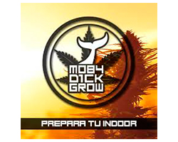 Logo 6