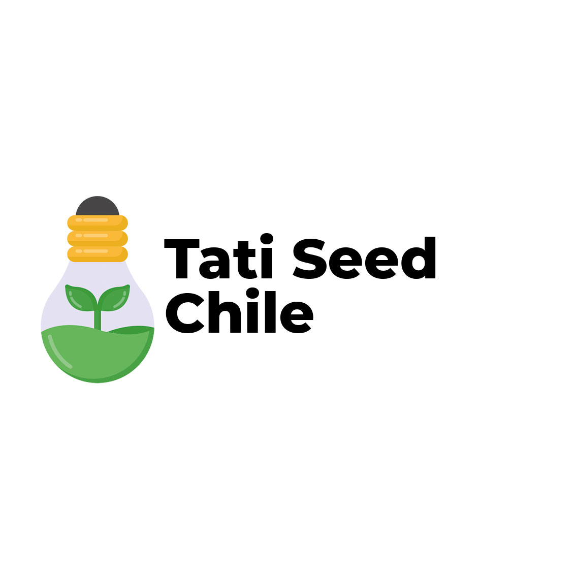 Tat See Chi